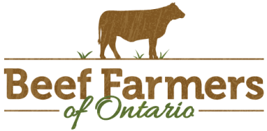 Beef farmer of Ontario
