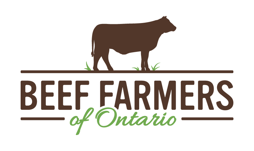 Beef farmer of Ontario